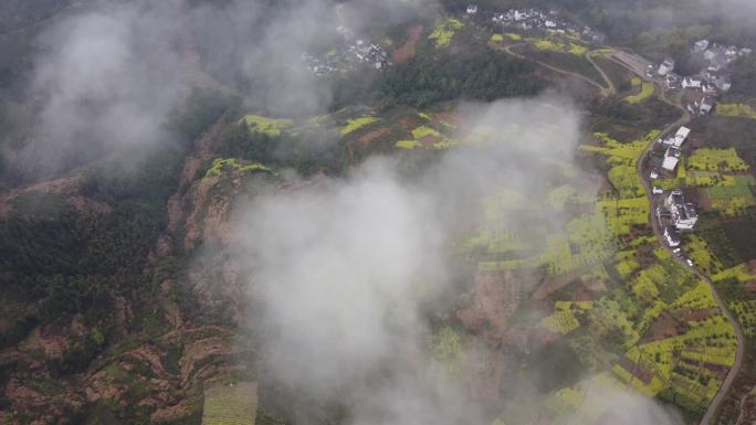 02歙县石潭村云海安徽皖南山村航拍油菜花