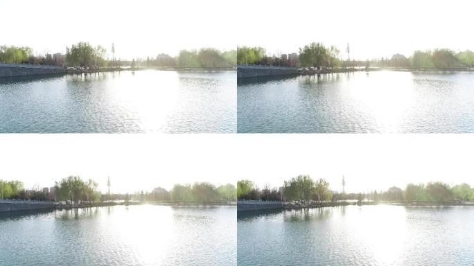 阳光水面湖面（4K50帧）