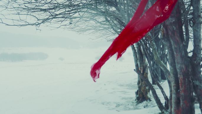 中国风风雪中的红飘带