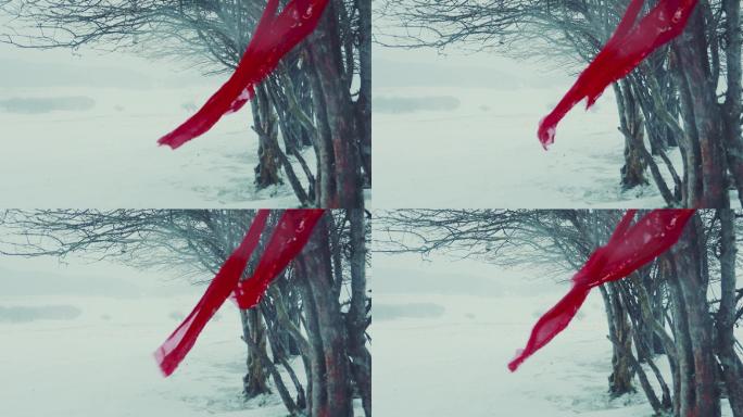 中国风风雪中的红飘带