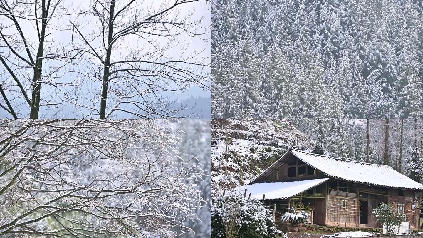 山乡下雪树林白雪覆盖树枝山村雪景