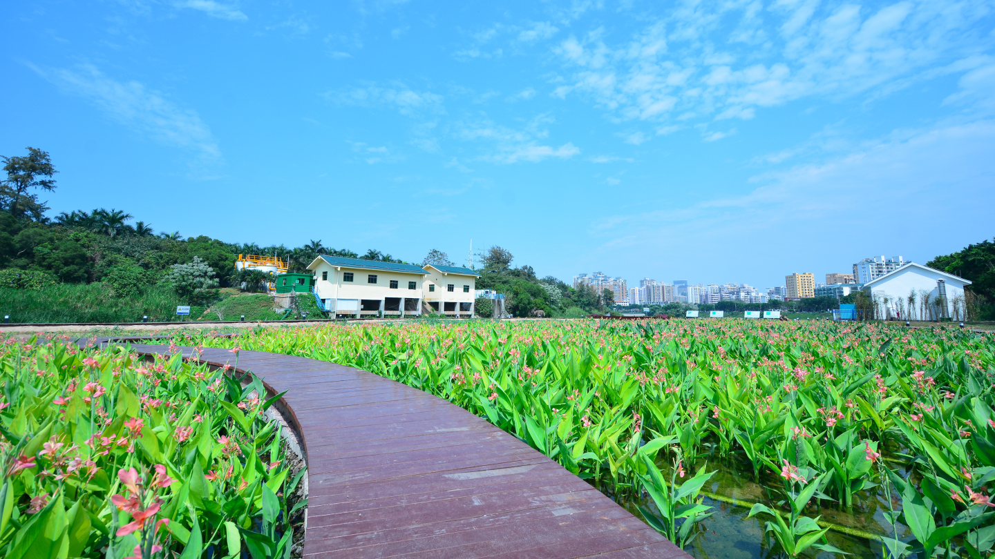 海南海口人工湿地【金牛湖】