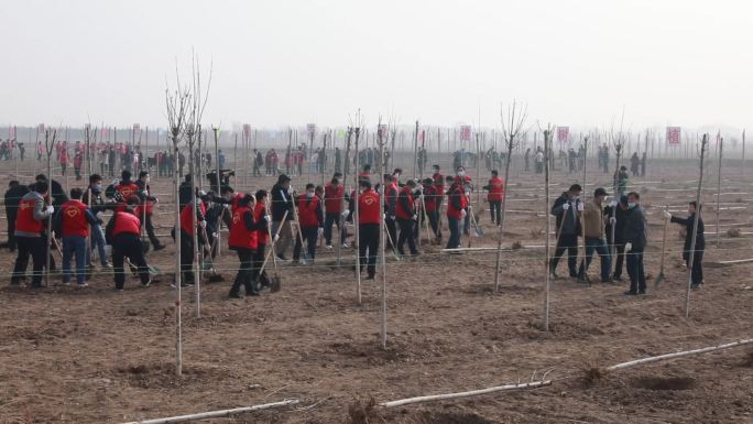 3月12日植树节植树造林志愿者