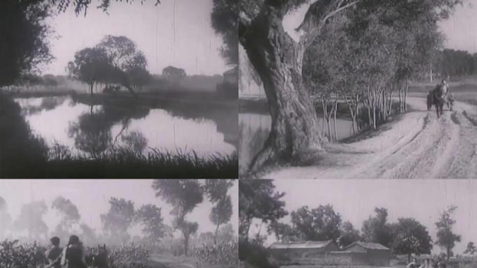 50年代童年-农村交通工具-马车