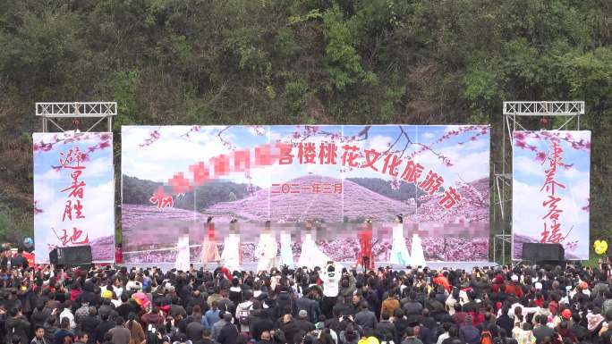 4K实拍桃花节演出现场3组