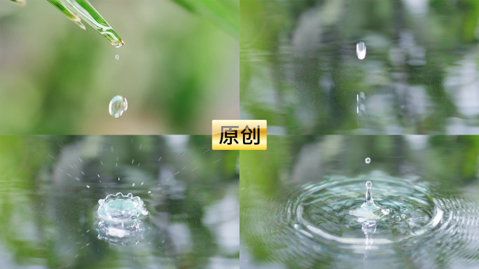 水滴露珠 水