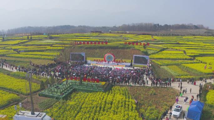 4K航拍陕西汉中西乡油菜花海