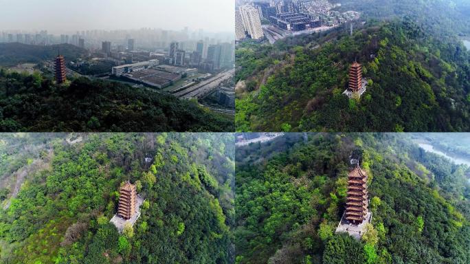 重庆两江新区照母山森林公园