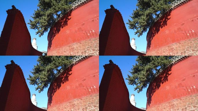 红墙延时树影移动-光影移动