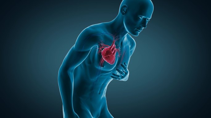 三维人体捂心脏医疗