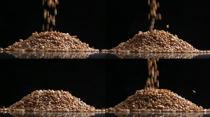 粮食谷物大米高粱小麦酿酒酿酒原料生产