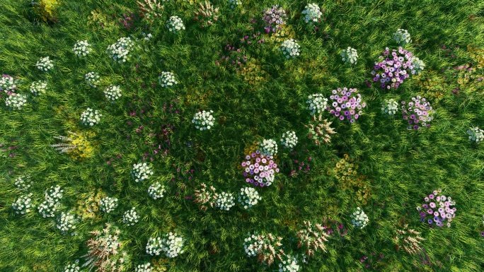 草地和花1