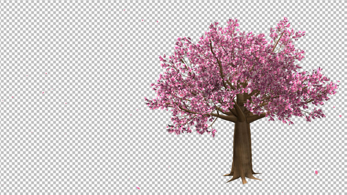 唯美桃花树生长-带透明通道