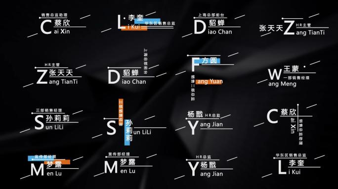 4k企业栏目18个人名字幕条标AE模板