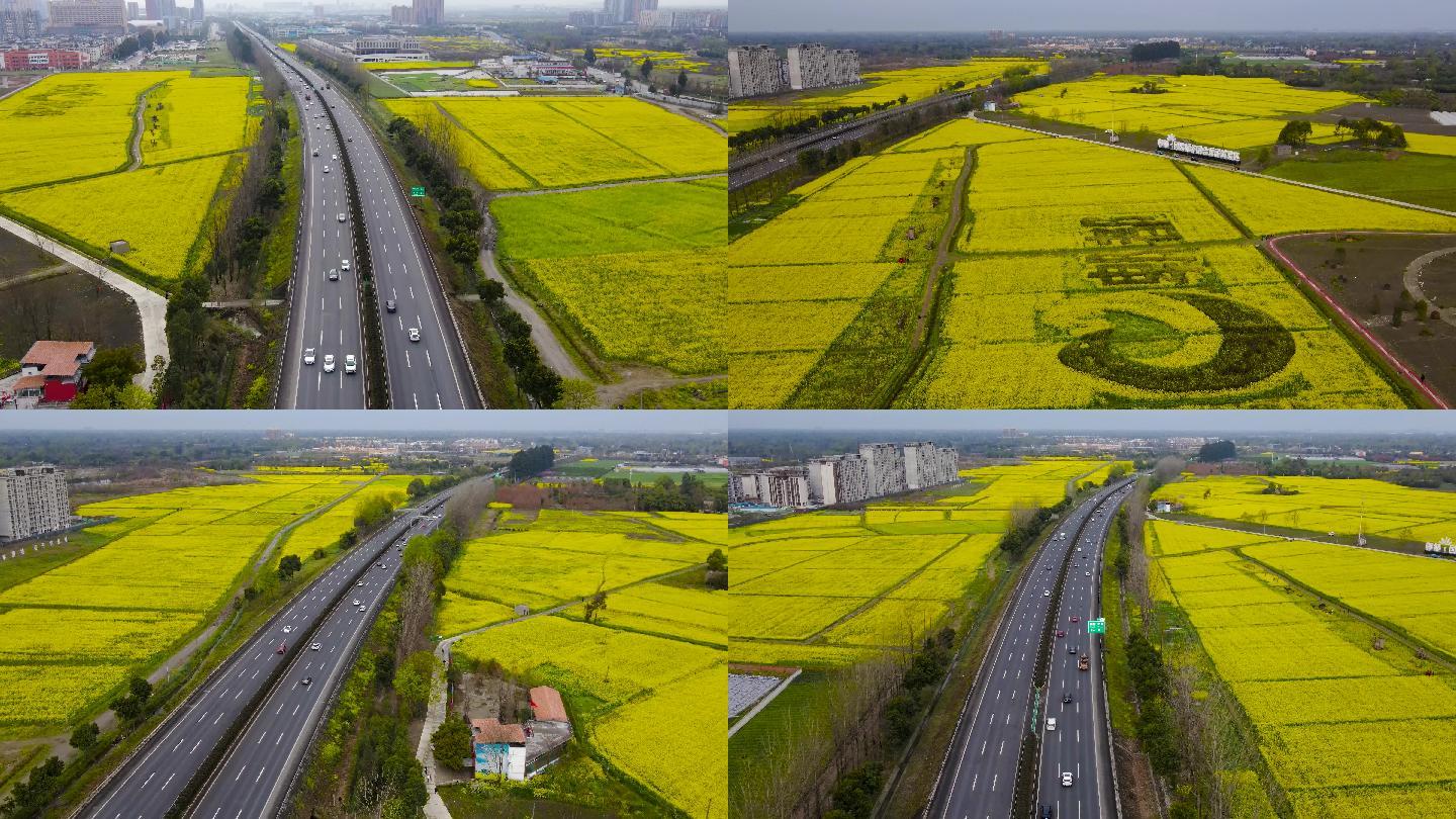 油菜花田景观大道唯美高速公路航拍