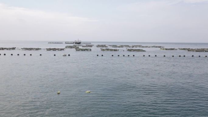 海洋牧场网箱养鱼海鲜养殖