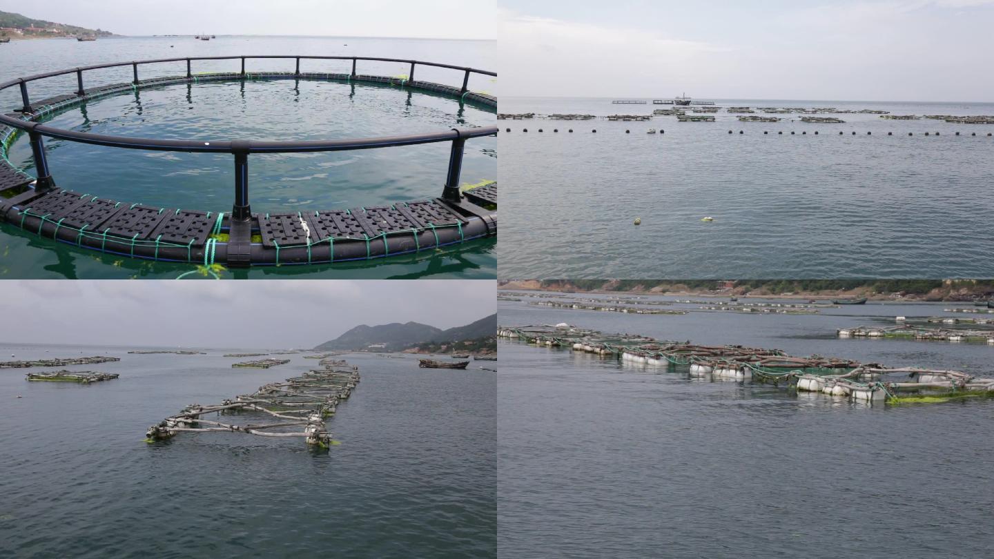 海洋牧场网箱养鱼海鲜养殖