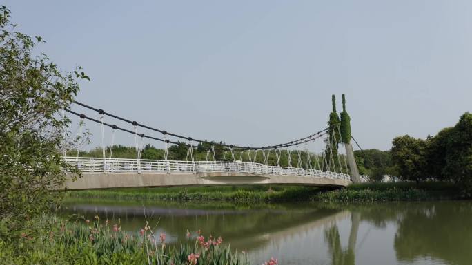 吊桥海珠湿地公园湖面
