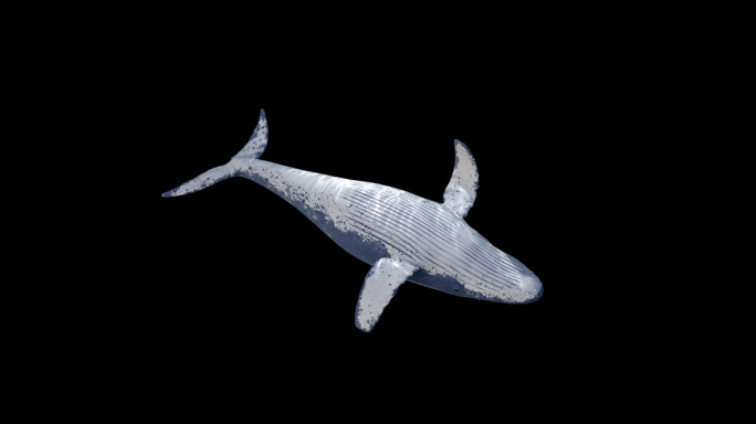 鲸鱼-透明通道