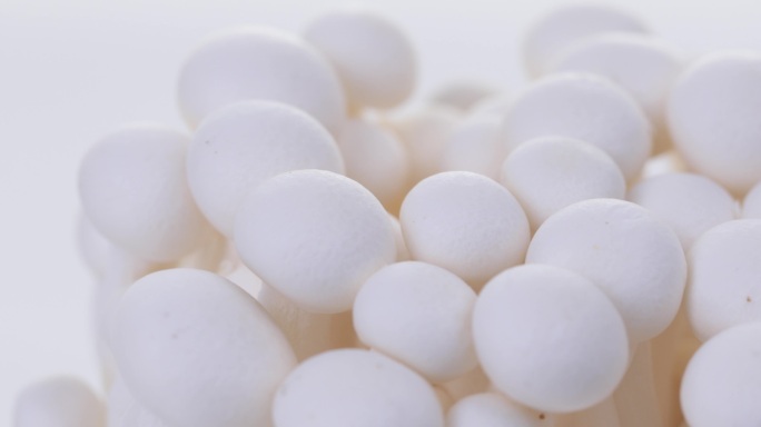 【正版素材】新鲜蔬菜白玉菇特写横移