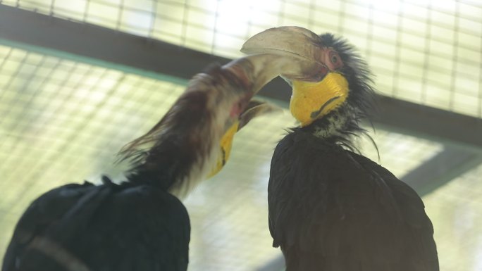 沈阳野生森林动物园