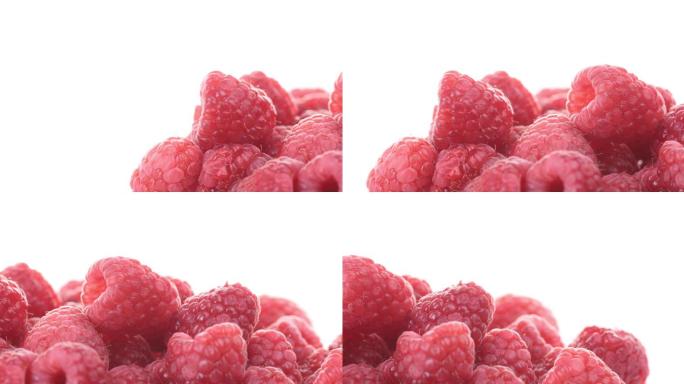 【正版素材】新鲜水果树莓白背景特写横溢