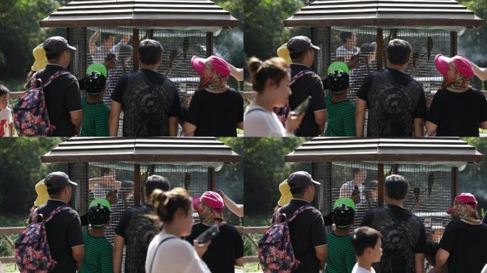 沈阳野生森林动物园