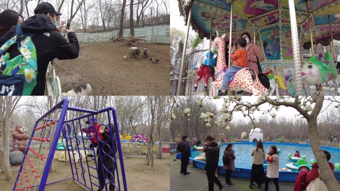4K幼儿园亲子园春天带孩子看动物春暖花开