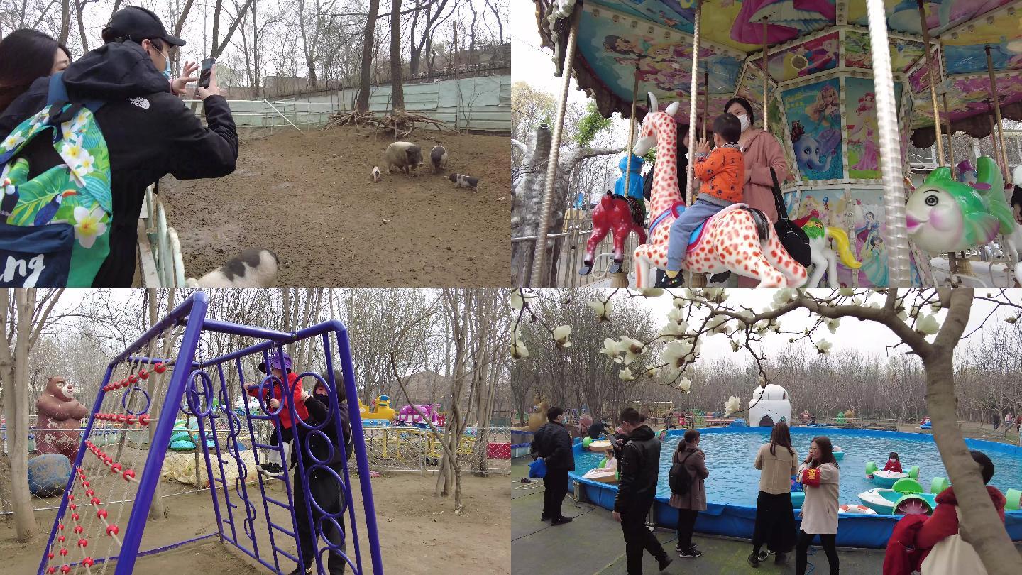 4K幼儿园亲子园春天带孩子看动物春暖花开