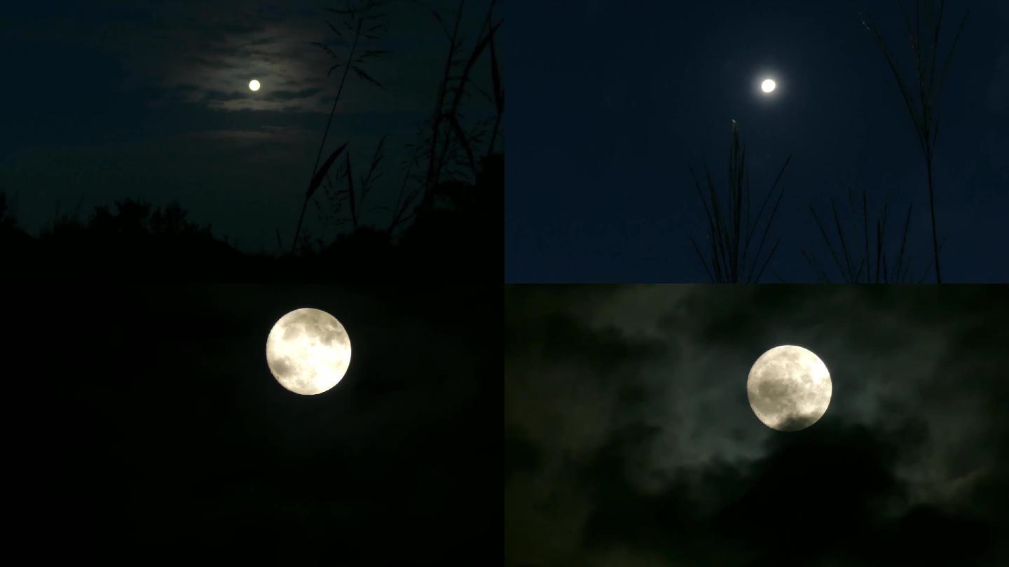 月亮树影残云树梢月亮