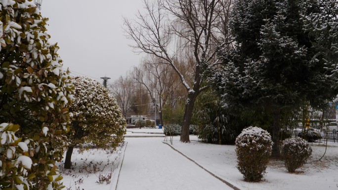 城管执法综合执法岗亭执勤点雪景