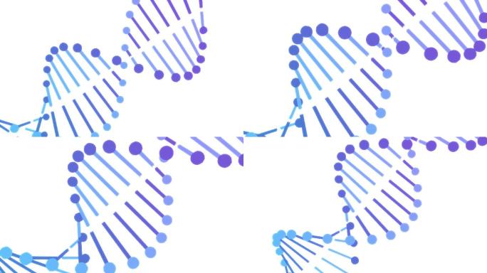 DNA双螺旋结构AE动画