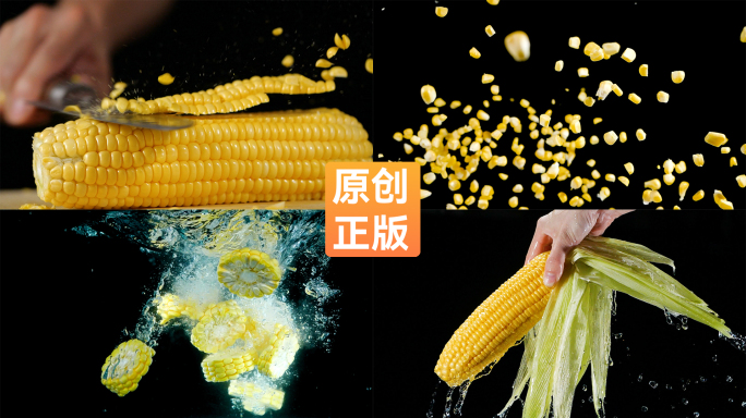 新鲜玉米实拍【侵权必究】