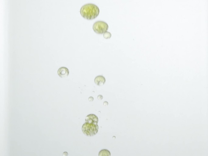科技感实验室油水分离气泡颗粒漂浮素材