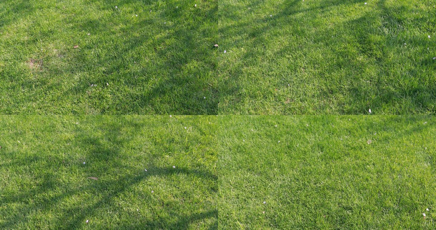 【4k】草地上走路主观镜头