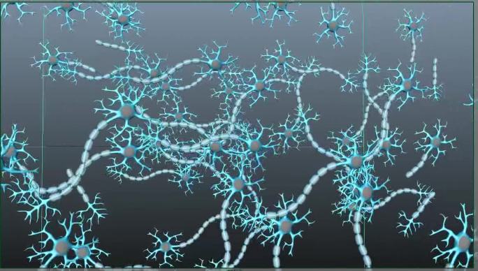 多个神经细胞组合maya模型