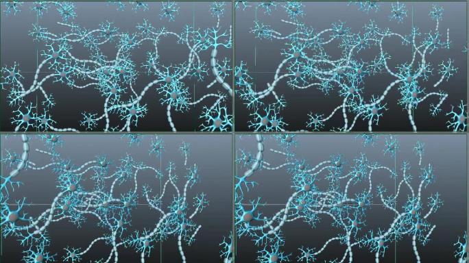 多个神经细胞组合maya模型