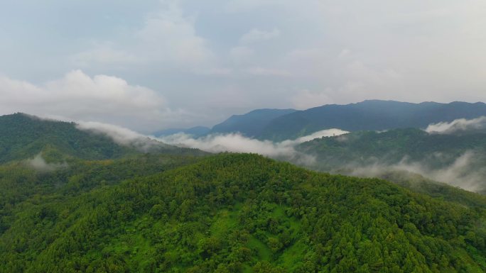 山间云雾云海航拍4k