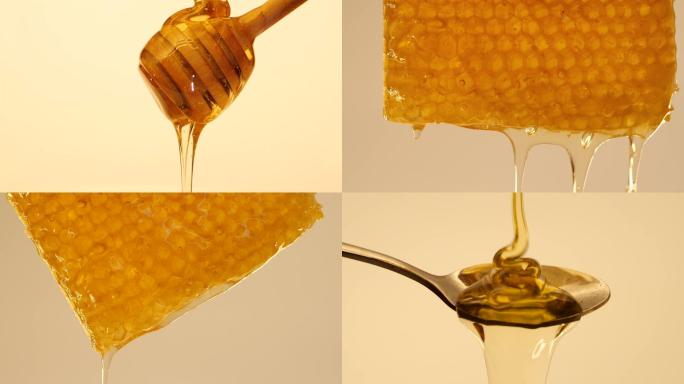 4K蜂蜜