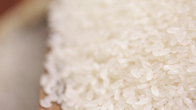 米粒大米米饭珍珠米泰国香米