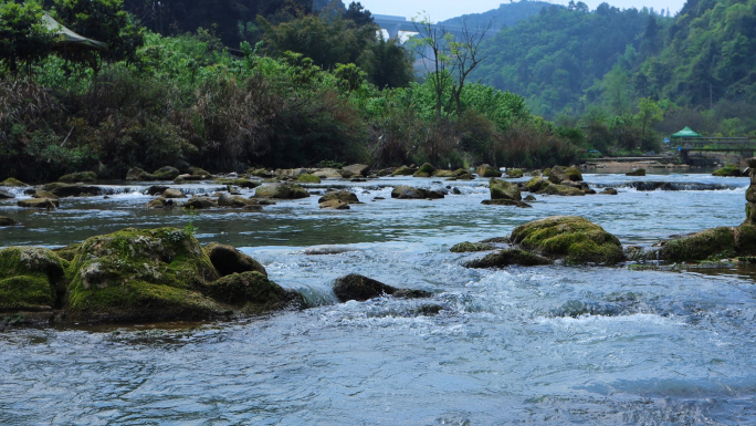 溪水、河水流淌、原生态水资源