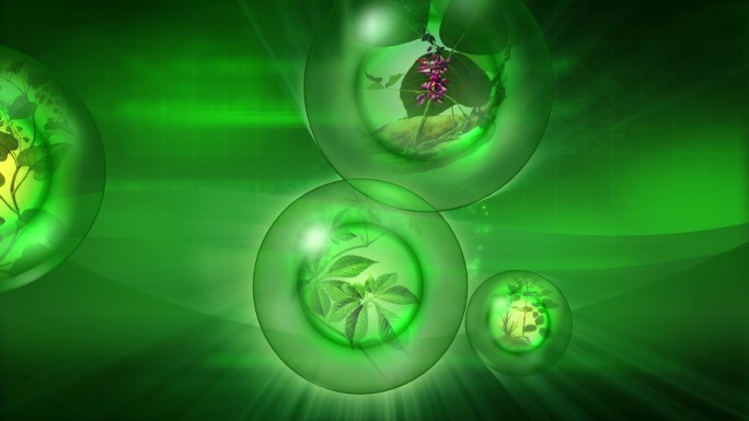 纯天然绿色活性中草药晶体球旋出药物因子