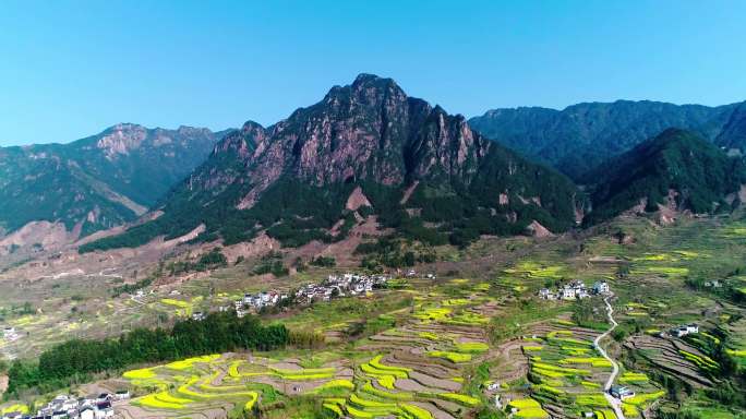 航拍安徽绩溪家朋乡梅干岭油菜花海