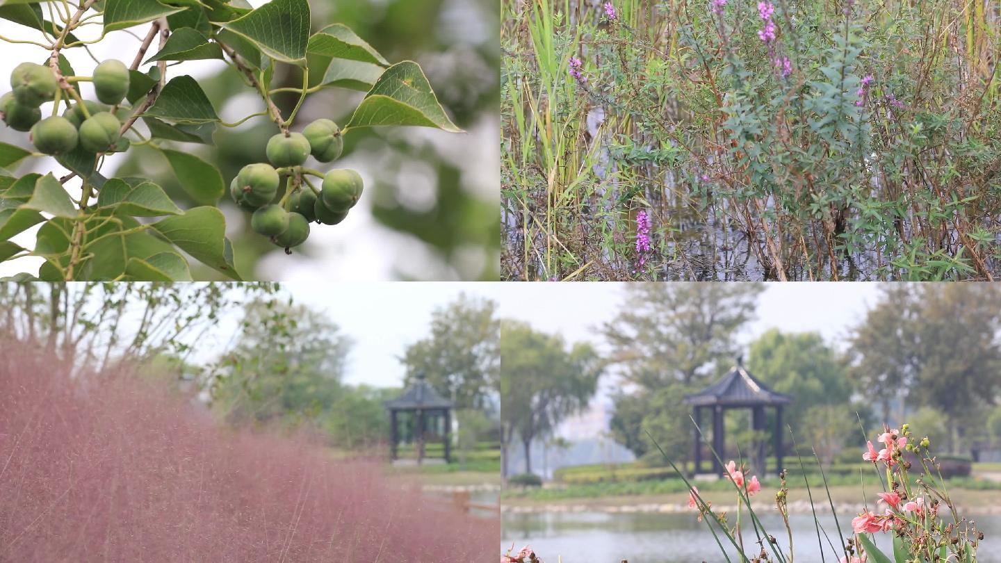 空境河边小亭绿植花