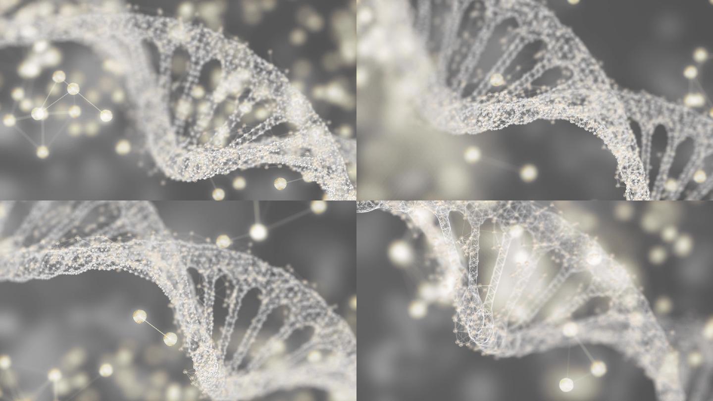 dna基因链染色体生物科技