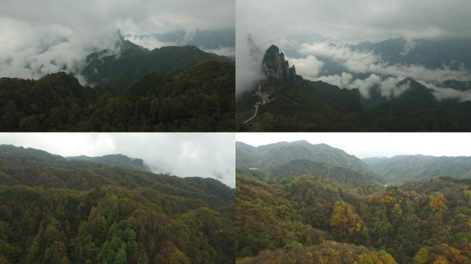 航拍森林树林云海山谷雾大老岭03