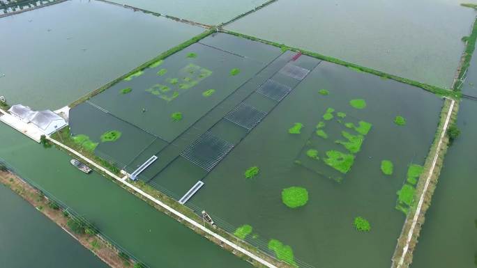 水产养殖尾水处理渔业水质净化水质处理