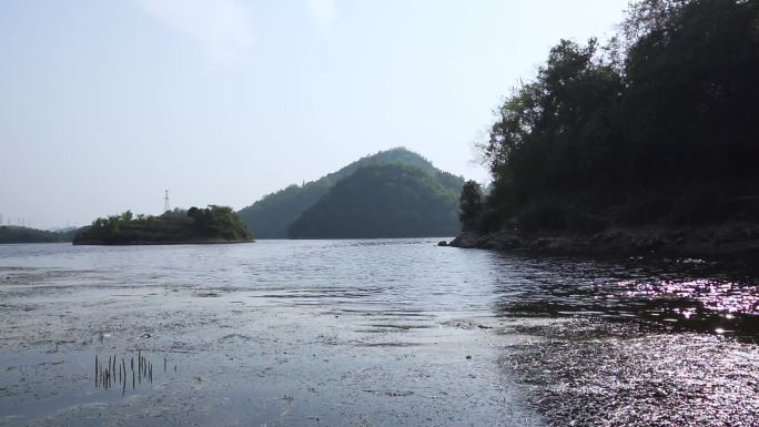 水质，环境污染 ，水库