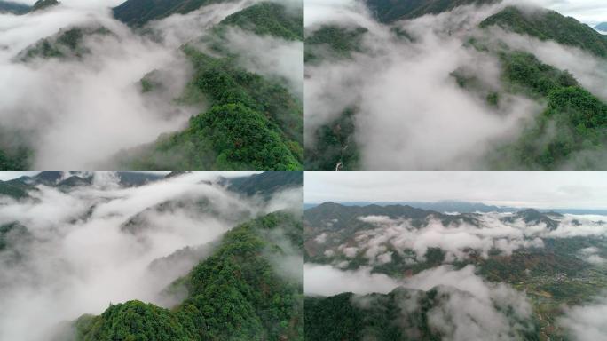 航拍云雾缭绕的山林云海
