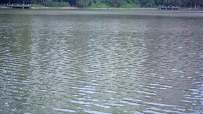 水面水纹实拍视频素材